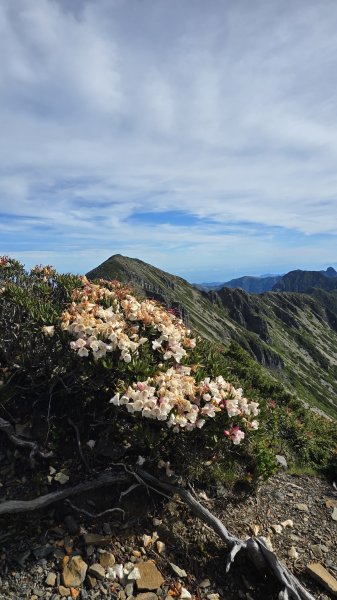 20250622 一日單攻雪主2919329
