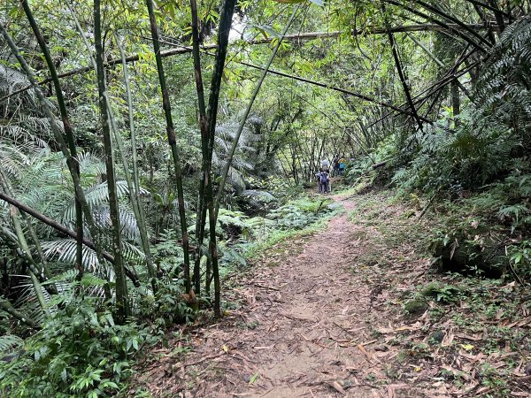 [微笑山線_第十二段] 2025_0803 五分山系_嶺腳寮山2851317