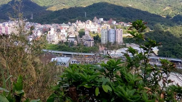 白鷺鷥山親山步道 2017.02.15116025