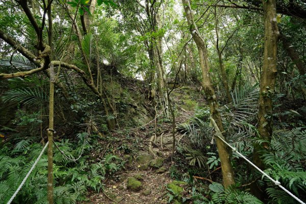 新竹 峨嵋 獅頭山、獅尾山、六寮山、猿山2450079