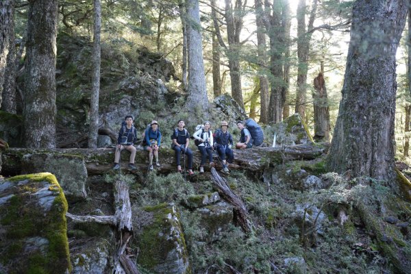 【新康橫斷】新康橫斷出瓦拉米2672362