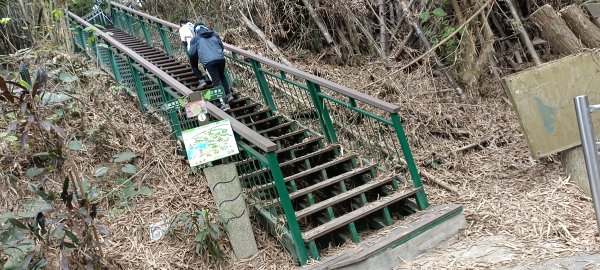 紅毛埤山+山子頂山-2023/02/262042793