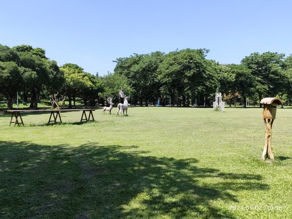 龍山河濱公園、大安森林公園、大港墘公園、花博公園圓山園區【走路趣尋寶】【臺北健走趣】2587907