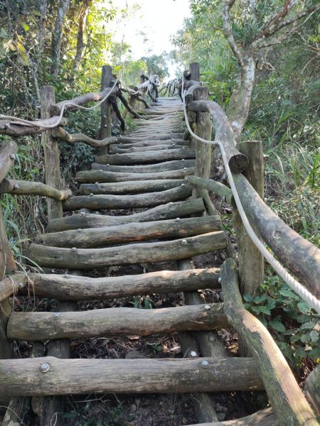 小百岳/頭嵙山 大坑四號1859527