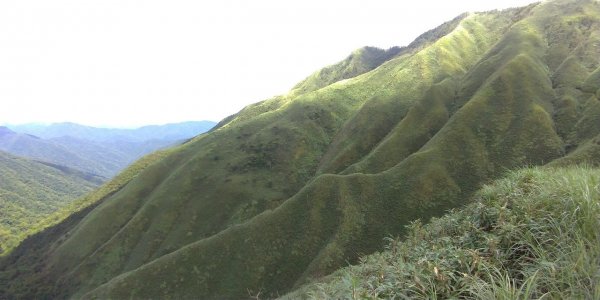 聖母步道抹茶山723192