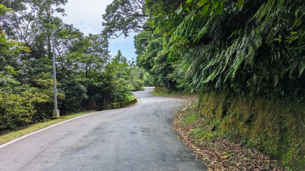 四分尾山,勤進路2515132