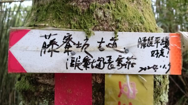雙溪區溪尾寮古道-藤寮坑古道O型3114499