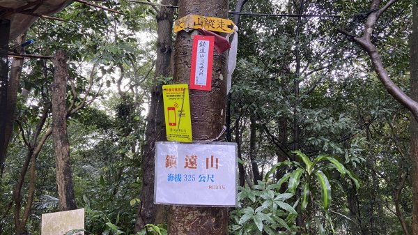 一等南方山頭在大棟山|大同山|青龍嶺|峯花雪月2640034