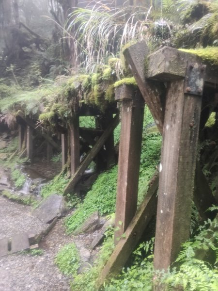 1150728太平山見晴懷古步道3096863
