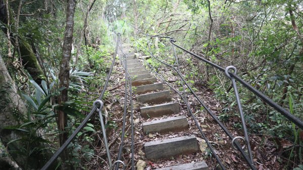 新舊寮瀑布O型登山健行趣(步道)2328227