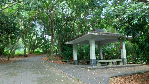 松柏嶺→登廟步道1061123