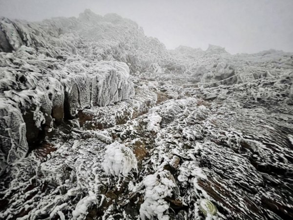 絕美銀白世界 玉山降下今年冬天「初雪」1236095
