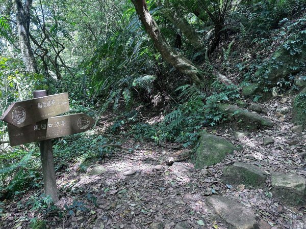 台北大縱走第四段2766843