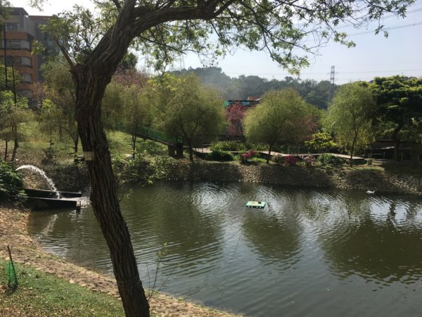 福氣步道、養生步道、長庚養生文化村2441856