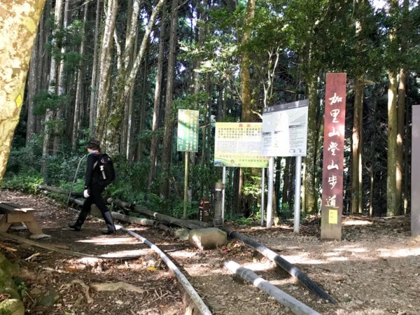 上山下谷哈堪尼山環走台車道628844