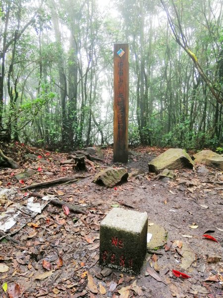 優美林相森林浴橫嶺山自然步道(木馬古道)739098