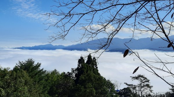 《新竹》幸福雲海｜鵝公髻山步道X山上人家202211051900097