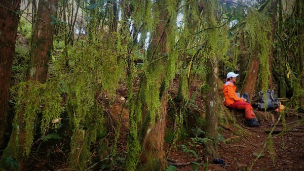 綺麗夢幻浪漫滿點的珍珠加羅湖山行1659508