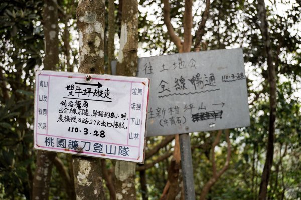 新竹石牛山步道｜小百岳2756526