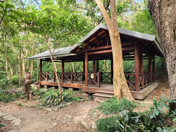 小百岳No.80⛰里龍山2776342