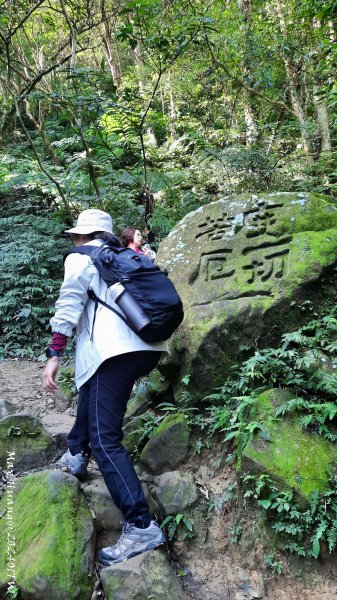 《桃園》一等郊山｜石門山登山步道O繞202401062397569