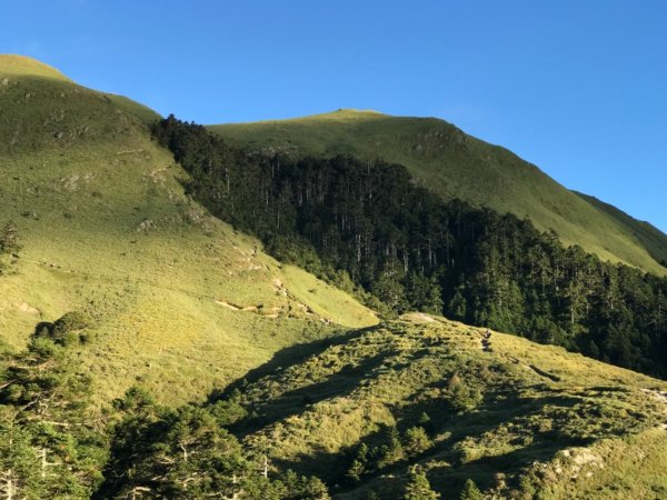 奇萊南華光被八表單攻692092