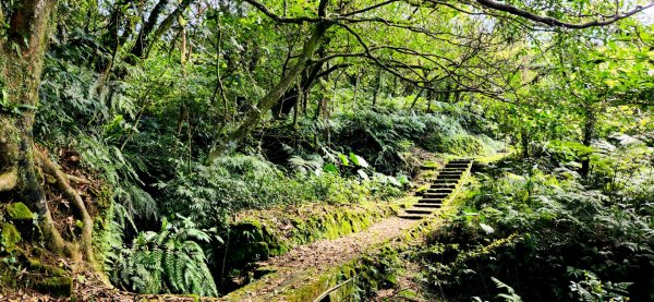 石碇獵狸尖，四分子古道，大格門古道，汐止白雲古道，汐止神社，台北黎和生態公園，宜蘭明池森林遊樂區2037689