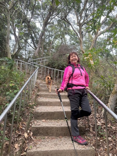 田中森林公園步道、赤水崎公園步道、花牆、龍過脈古蹟2750867