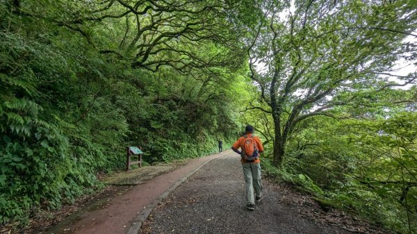 112.06.10向天池-向天山-面天山-大屯山2177881