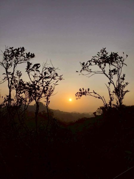 20251213 高雄觀音山15連峰🤔一直走不回頭繞2961524