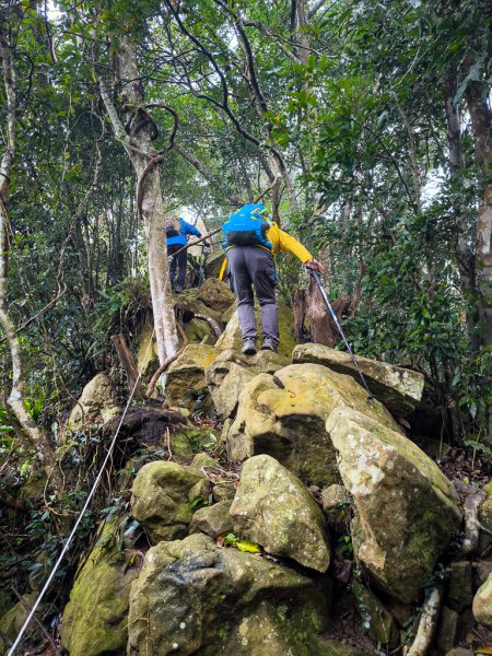 2025-03-08 汶水三山：金童山、汶水山、玉女山 連走2736533