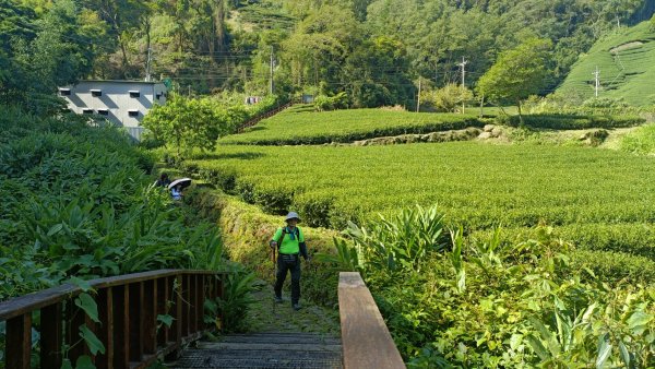 海鼠山1314(爬帶秀)月眉山 2022年5月29日1722222