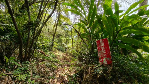 新北深坑，新翠谷登山步道3029709