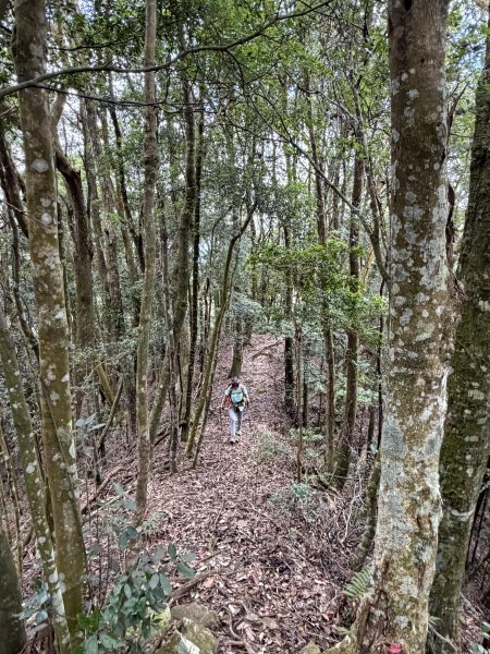 阿冷山 7刷3094289