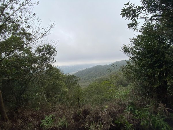 苗栗三義-三員縱走2616456