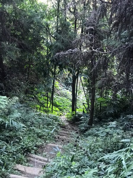 南庄賽夏族部落名山490130