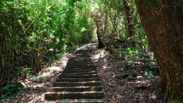 大崎頭梯田,坪頂古圳2208626