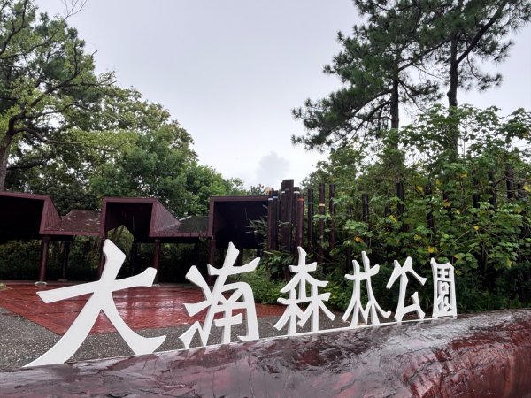 20250720大湳森林公園2843929