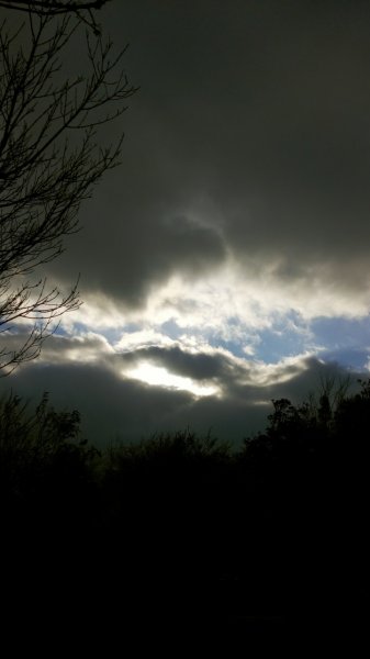 陽明山東西大縱走，下次再把西段走完1963562