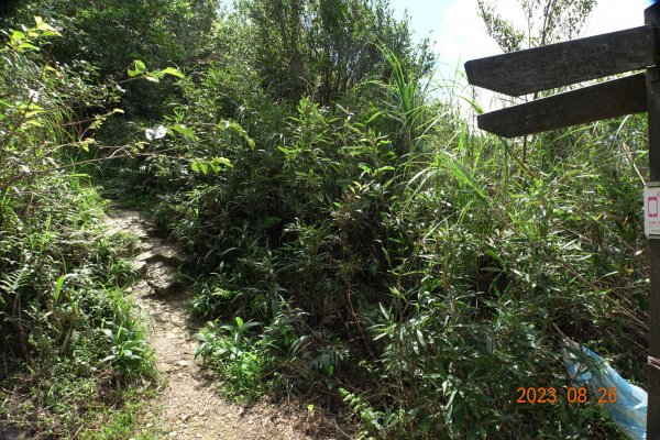 基隆 頂寮山、龍門山、五分山、頂子寮山2265950