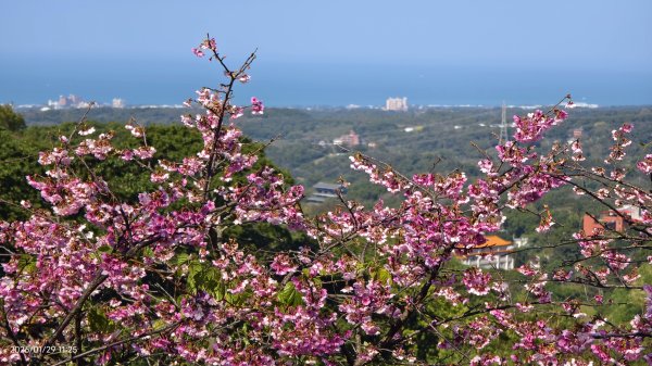 天元宮了嗎？2/32992597