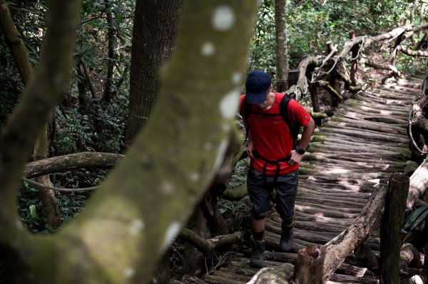 大坑1號步道2865259