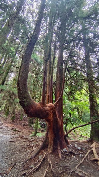 馬崙山之美1756018