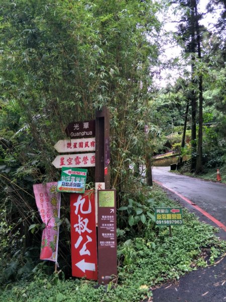 奮起湖歩l道，神社，杉林木棧道1426367