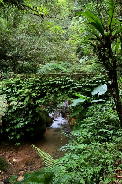 新竹橫山｜騎龍古道｜懷舊古意.清涼感滿載的溪水古道1573969