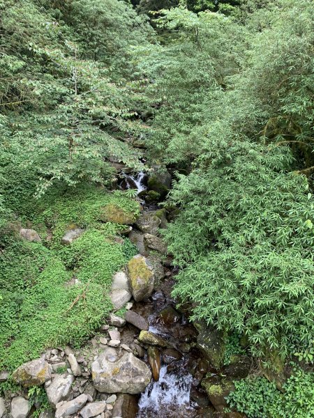 20250517義義兒玉山-東水山2791727