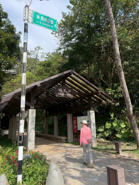 桃園 大溪 頭寮山3004519