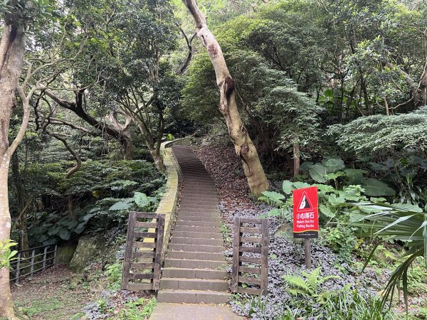 [2024觀音觀鷹尋寶任務-1/7] 2024_0511 牛港稜山登山步道2501810