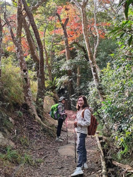 〽️12/25（三）聖誕節~楓紅了🍁~馬拉邦(小百岳)賞楓眺望聖稜線2676384