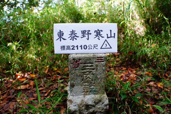 新竹 尖石 東泰野寒山